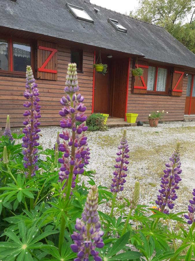 Noyal-Pontivy Chez Christine Bed & Breakfast エクステリア 写真